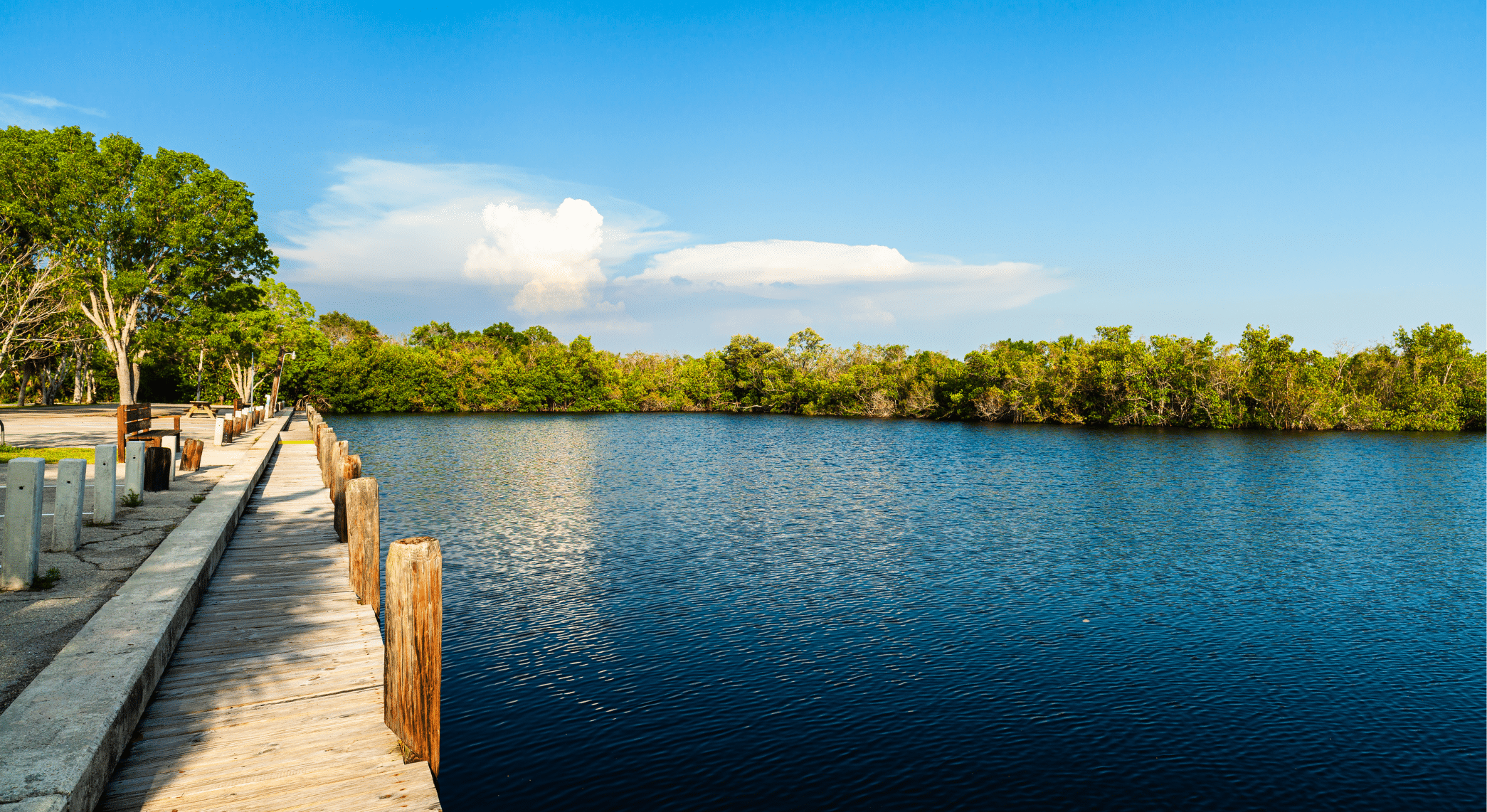 Everglades