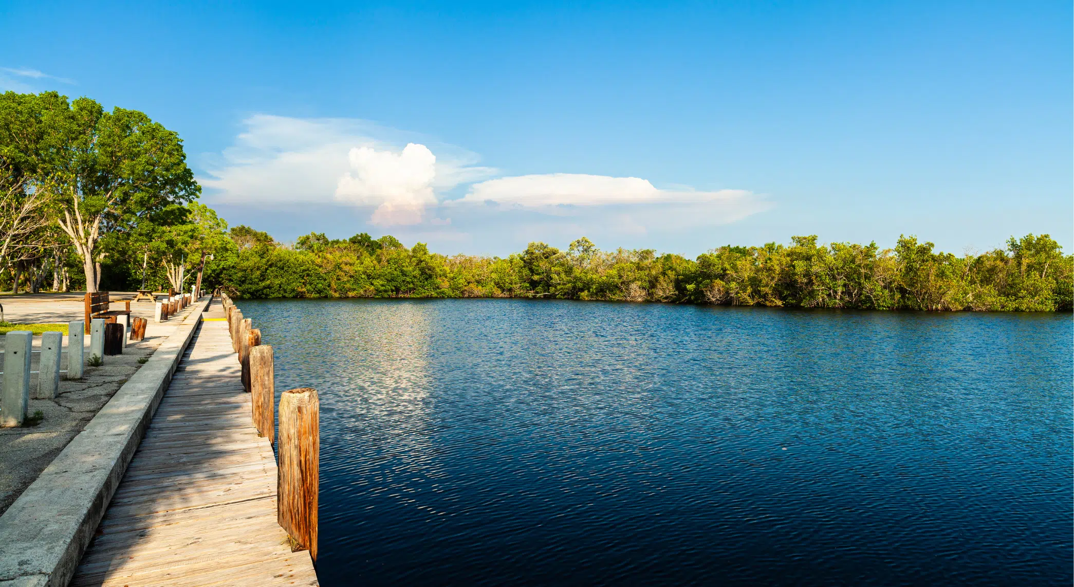 Everglades