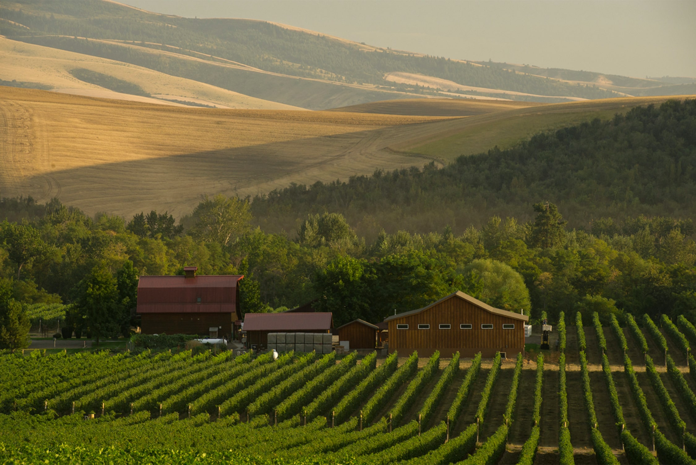 Walla Walla Valley, Washington