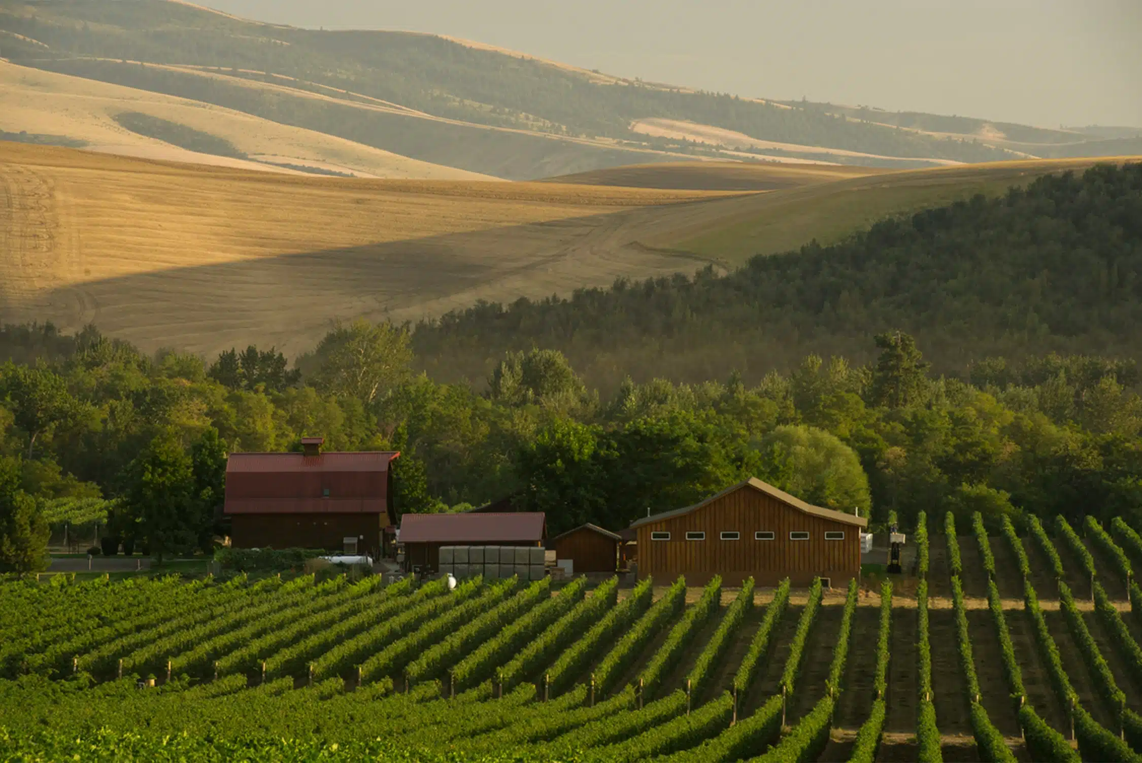 Walla Walla Valley, Washington