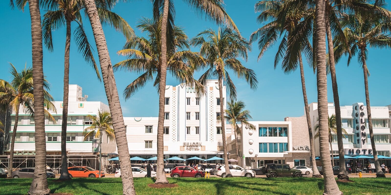 palm trees line the grass in front of a hotel