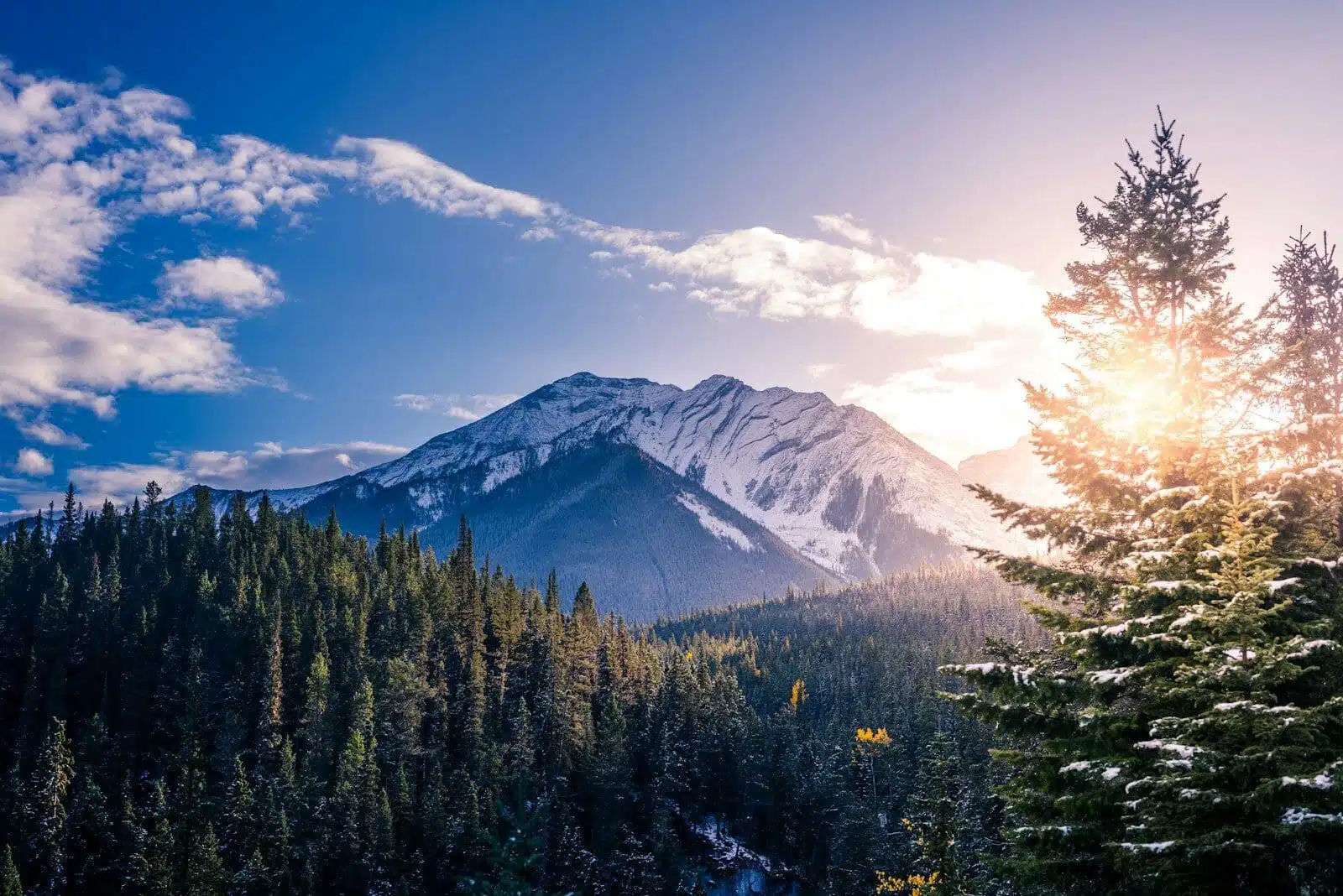 The Ultimate Canada Honeymoon Guide