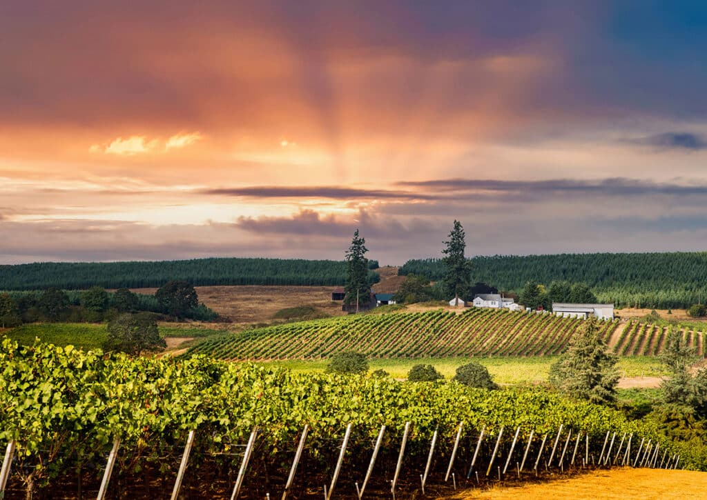 Willamette Valley, Oregon