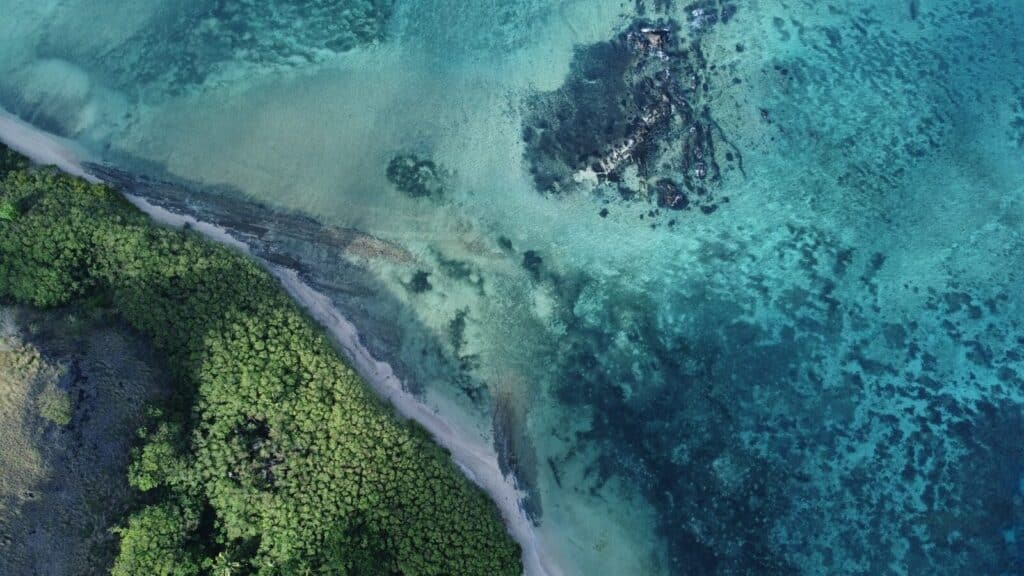 Fiji