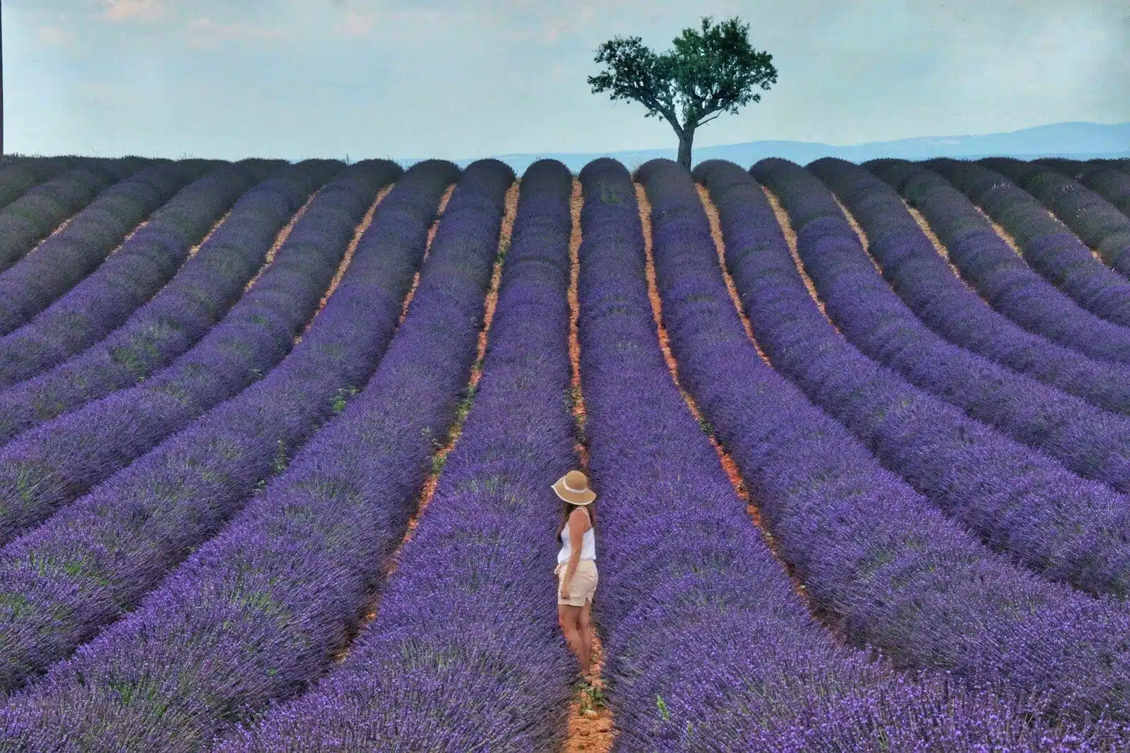 The Luberon