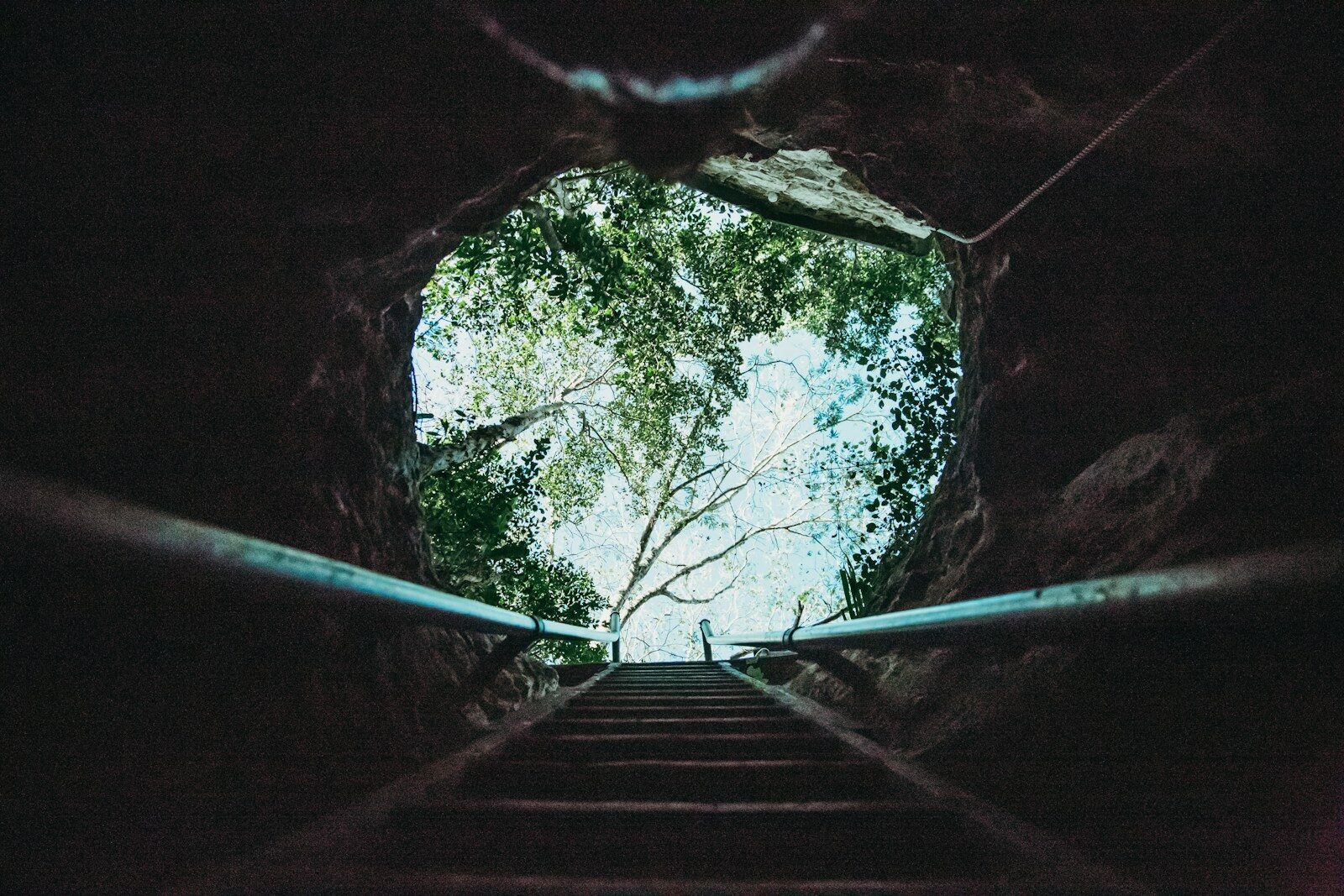 Private cenote swim in Tulum at sunrise