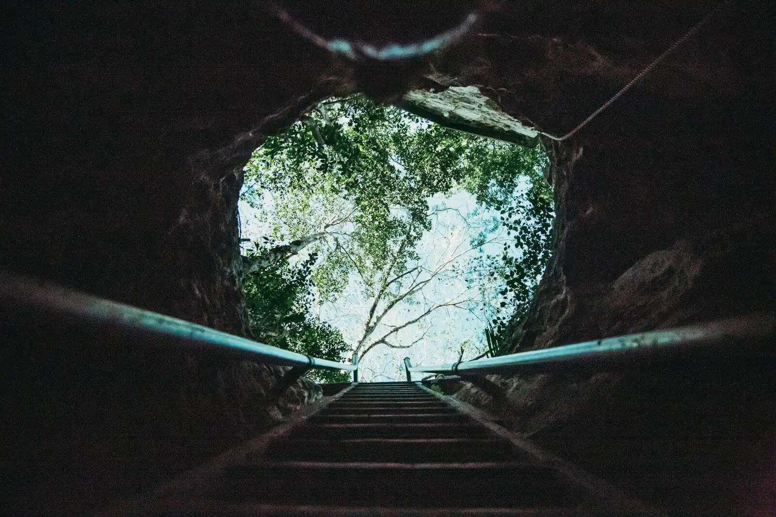 Private cenote swim in Tulum at sunrise