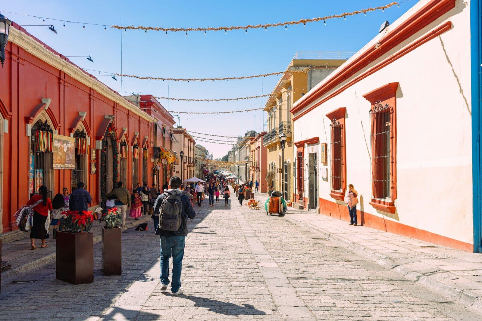 Days 5 to 8 - Oaxaca