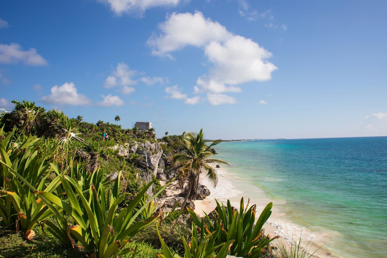 Private sunset sailing Riviera Maya coastline