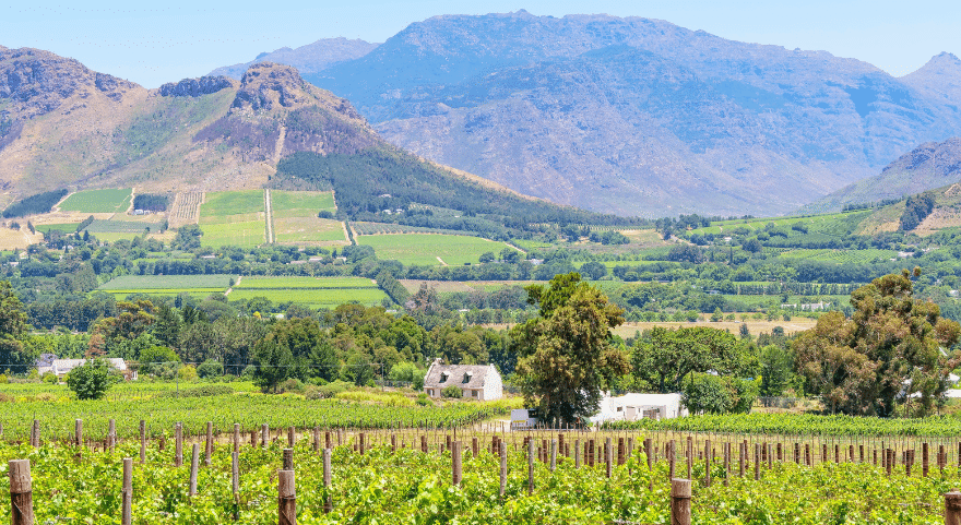 Why Franschhoek?