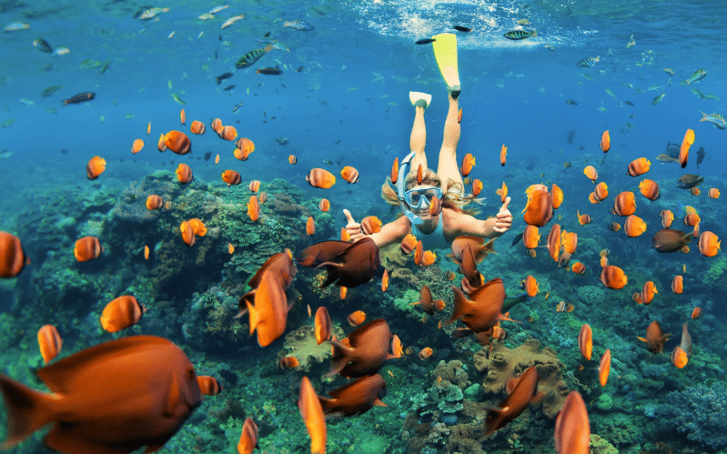 Days 4-6: Exploring the Reef