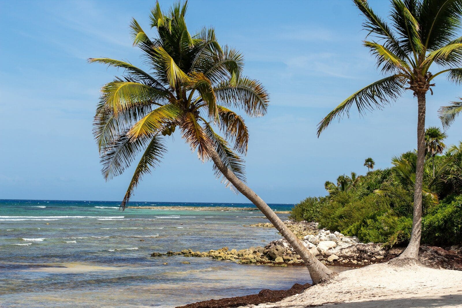 Private sunset sailing Riviera Maya coastline