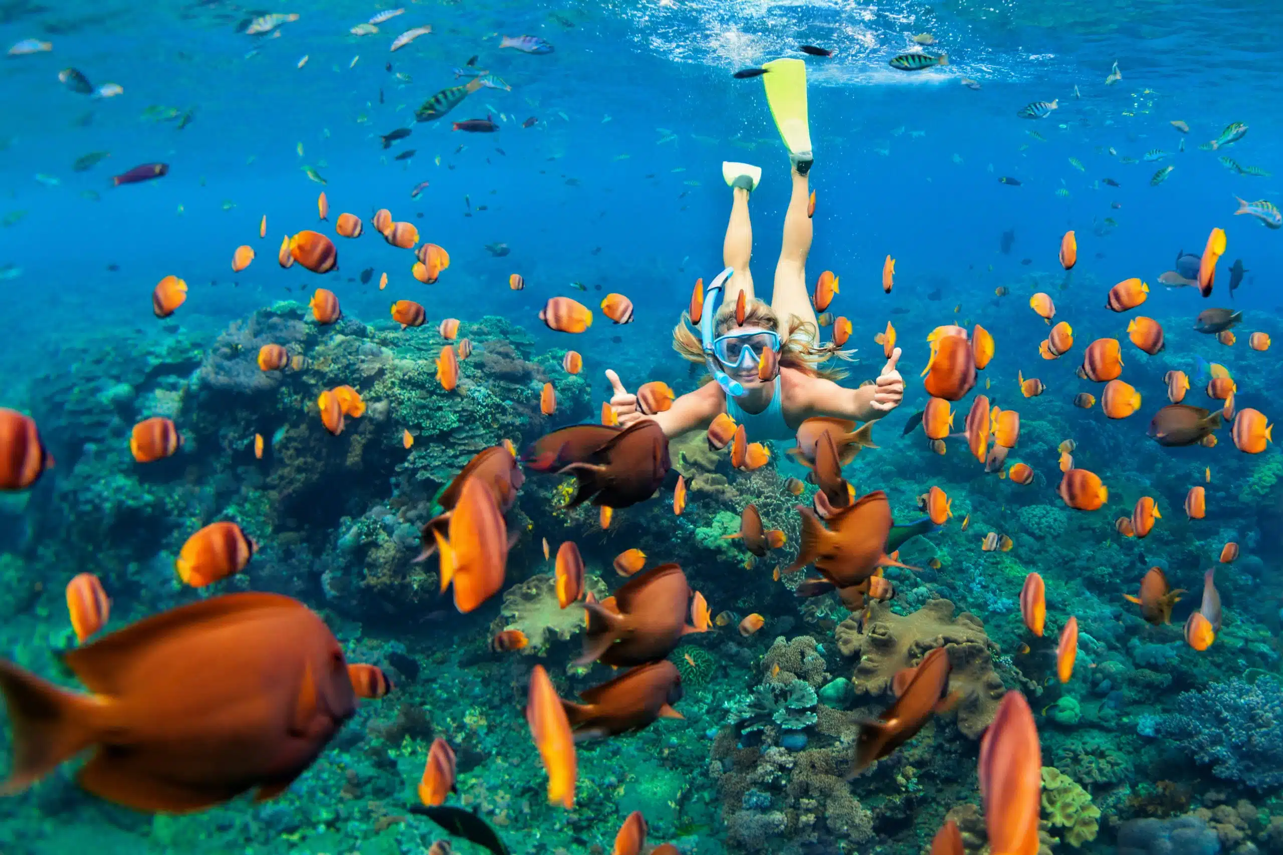 Exploring the Reef
