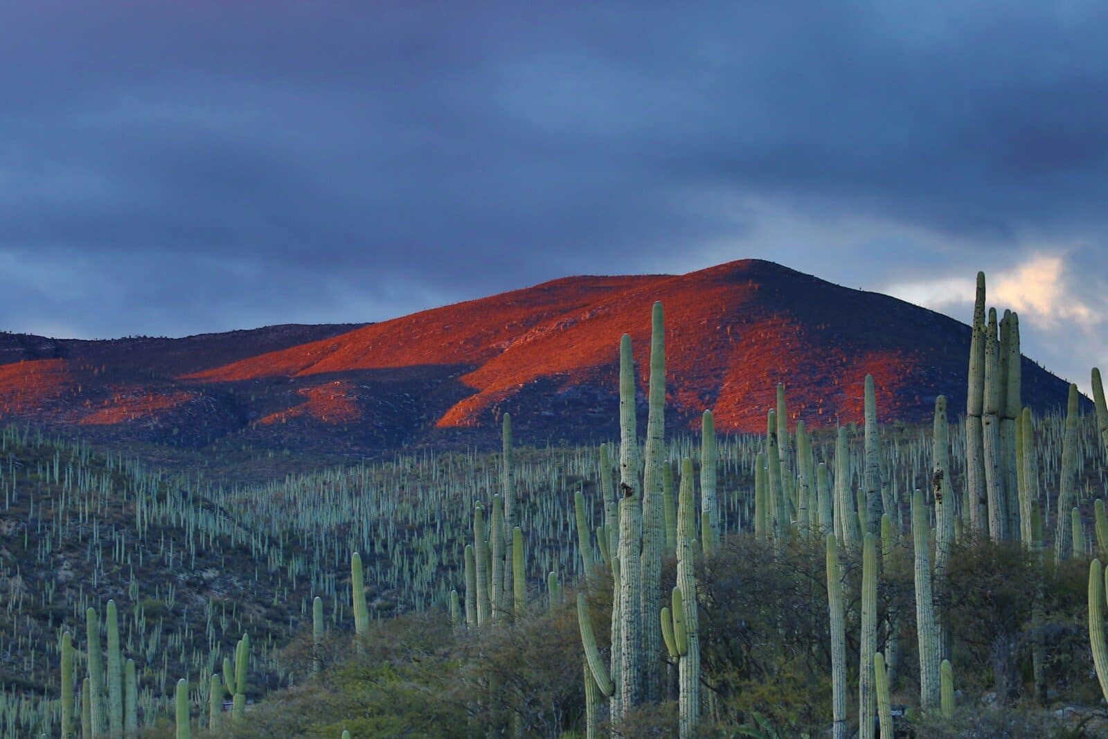 City, Coast & Cuisine: A Mexico Honeymoon