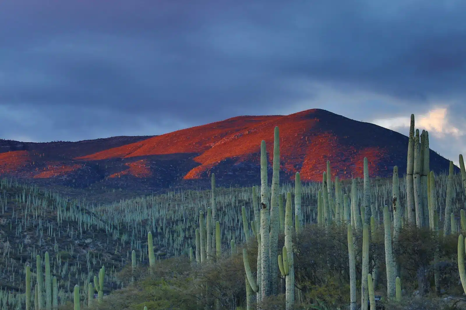 City, Coast & Cuisine: A Mexico Honeymoon