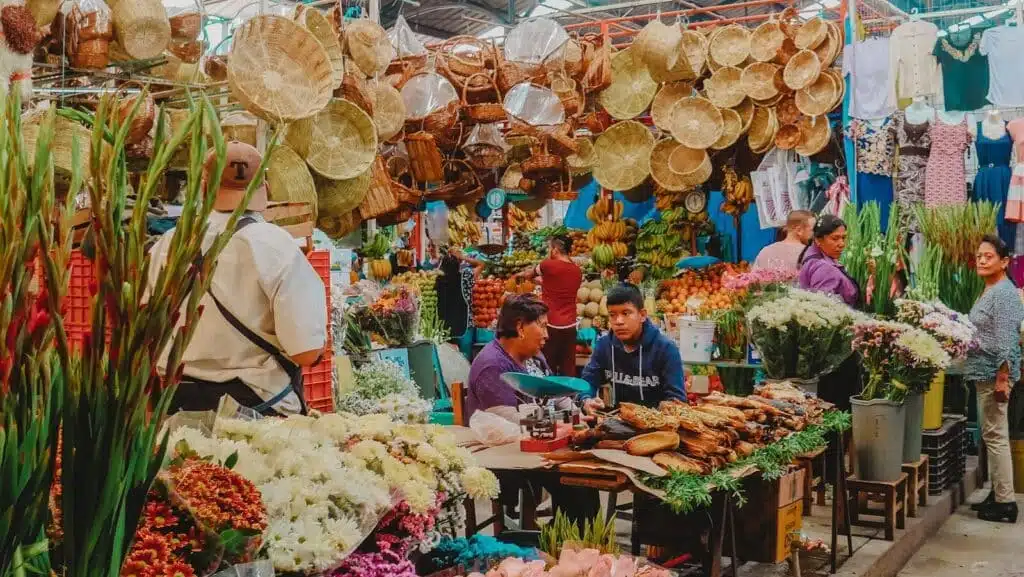 people in market during daytime