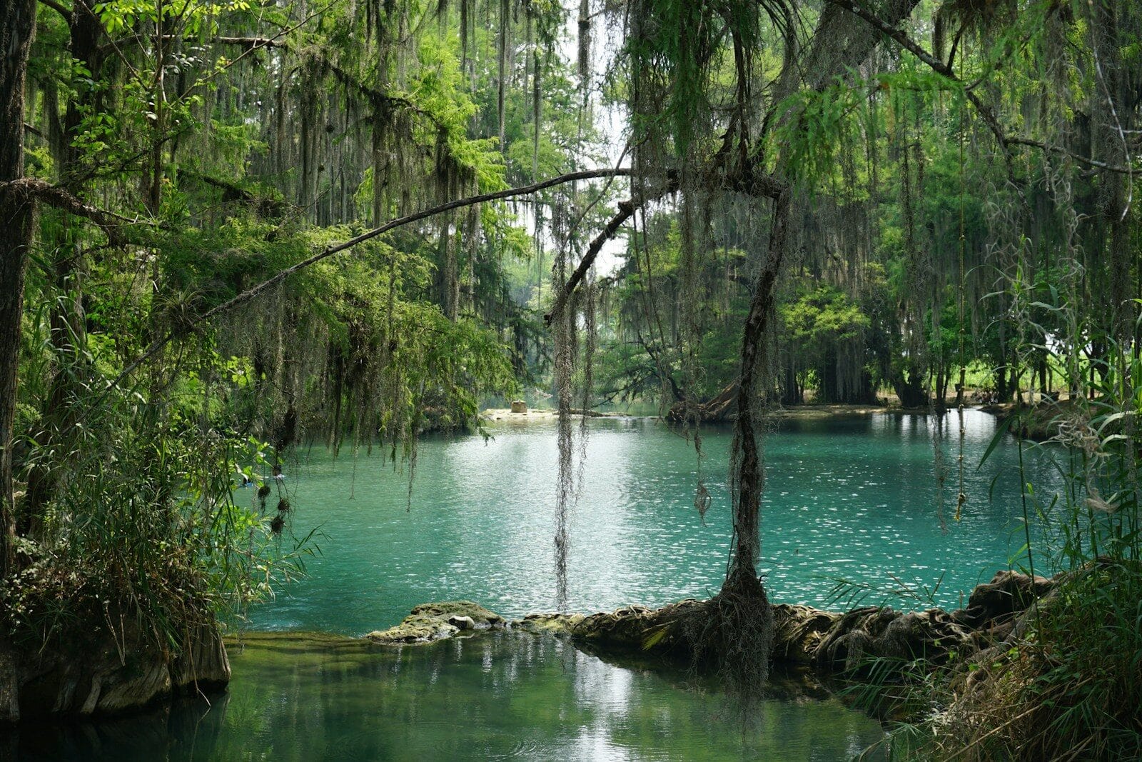 Private cenote swim in Tulum at sunrise