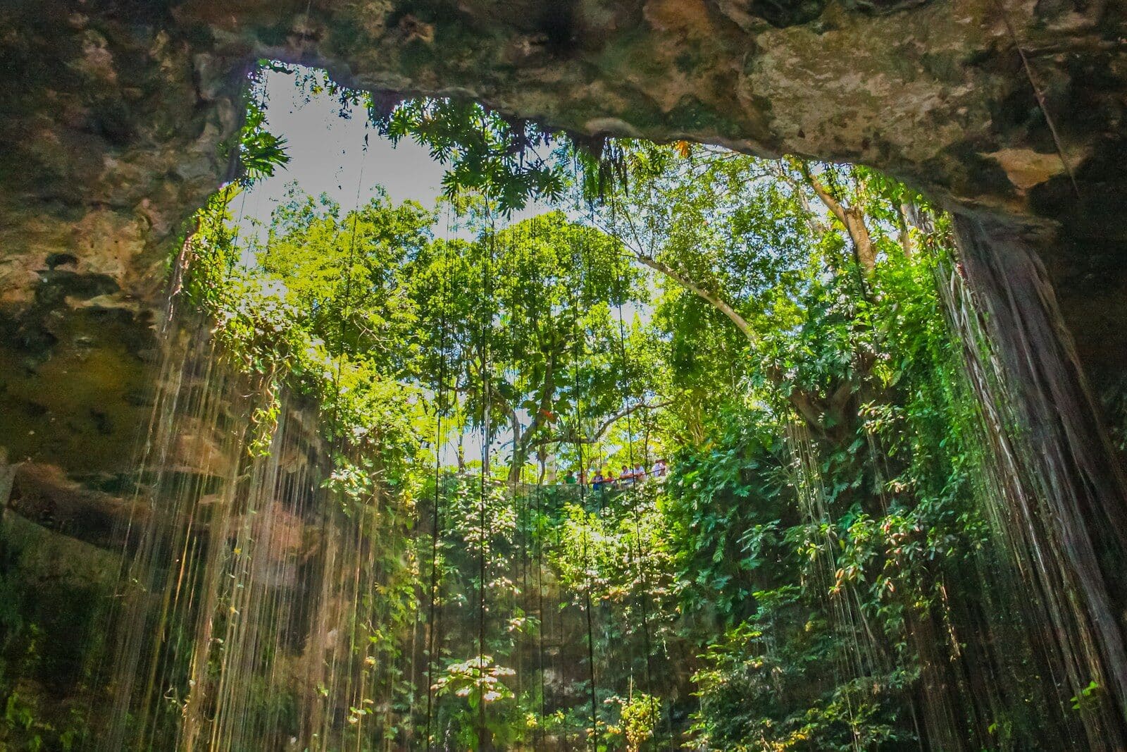 Private Cenote Swim at First Light