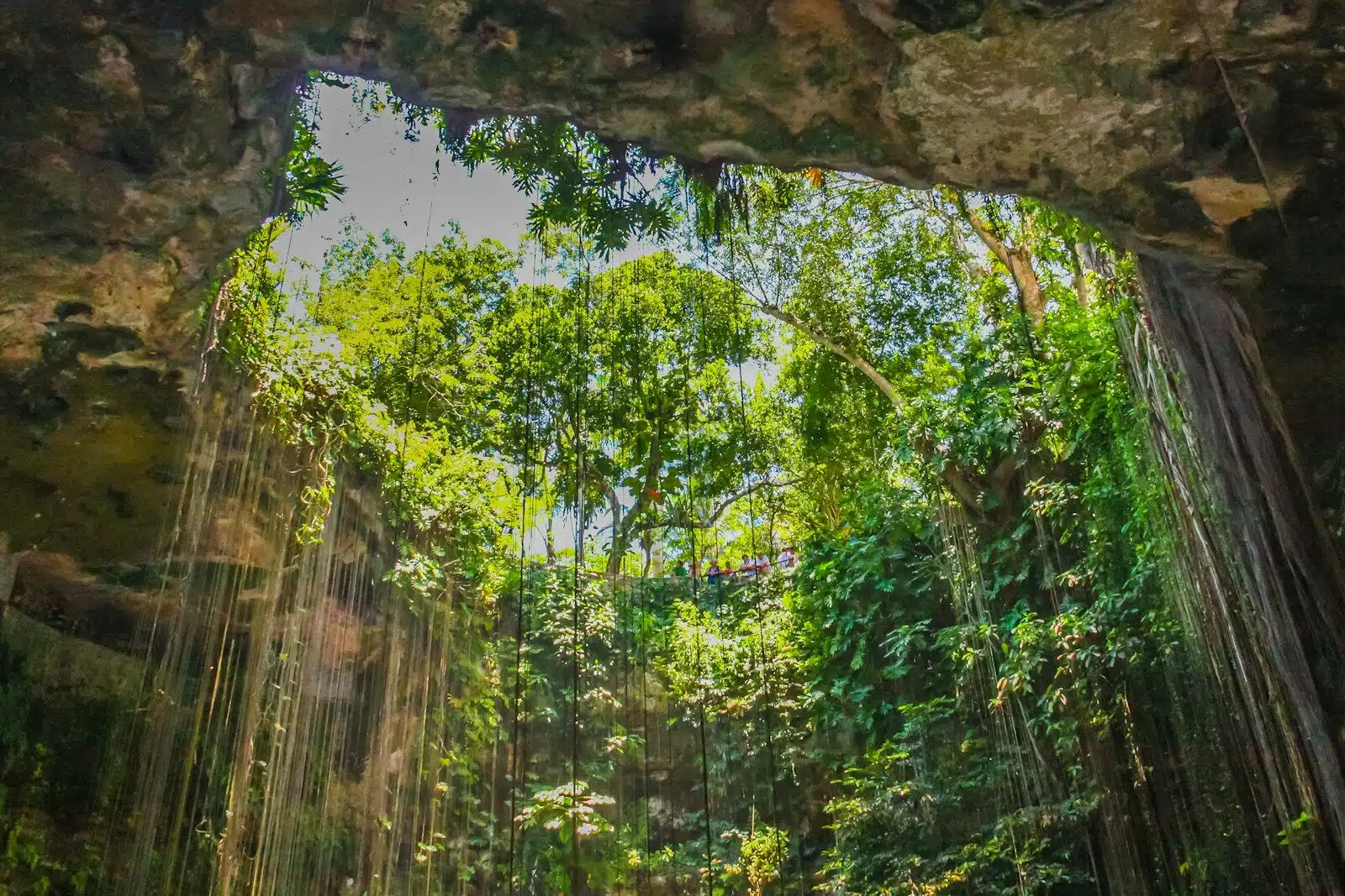 Private Cenote Swim at First Light