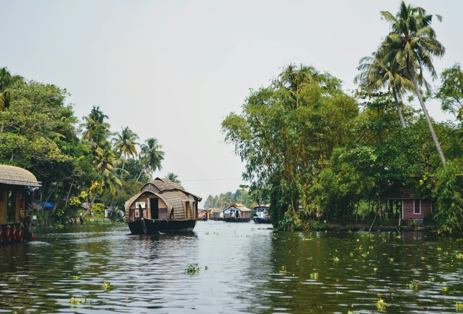 Days 10 to 12 — Periyar and Alleppey