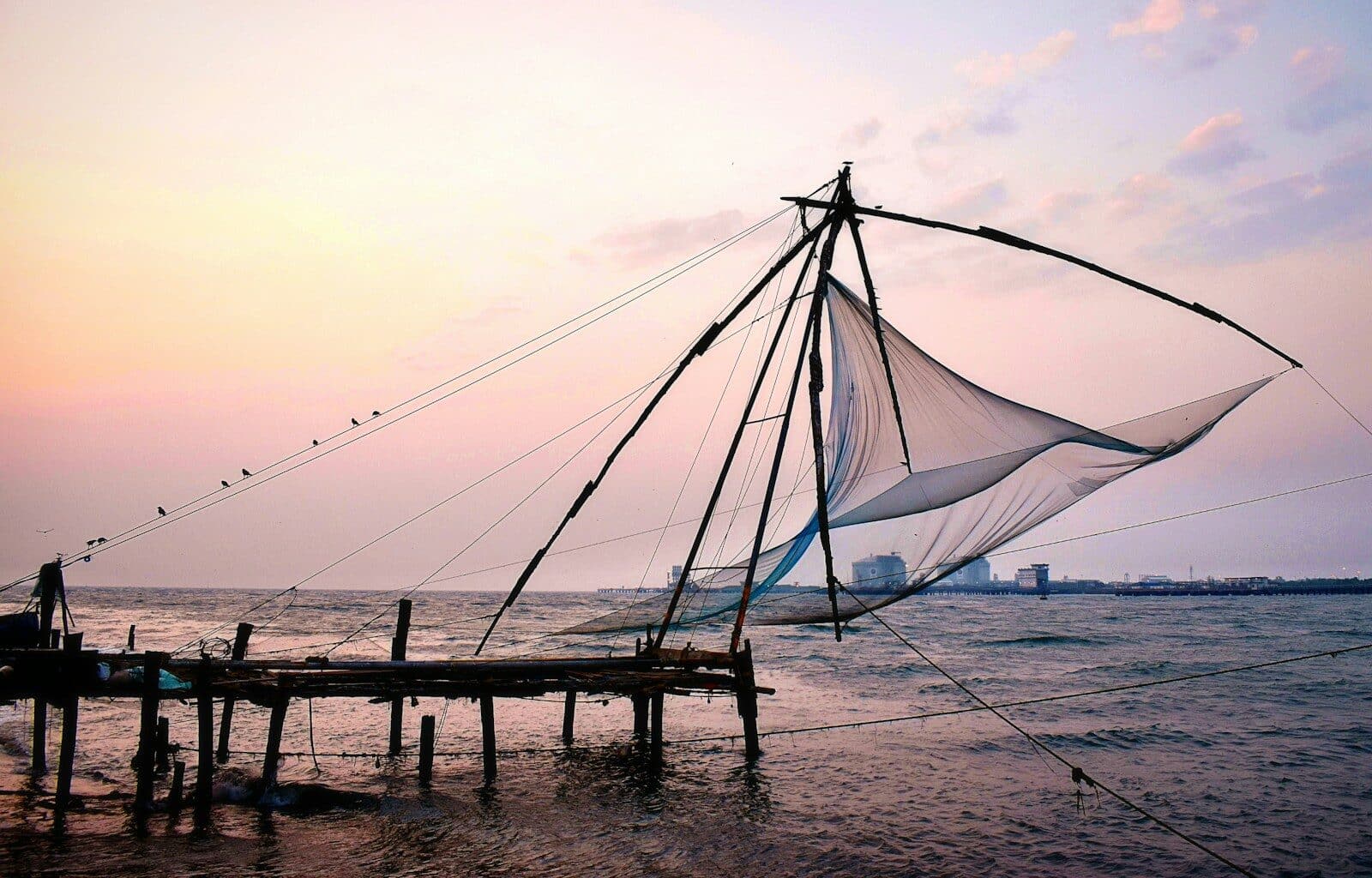 Days 13 to 15 — Fort Kochi