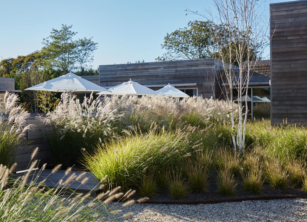 Shou Sugi Ban House