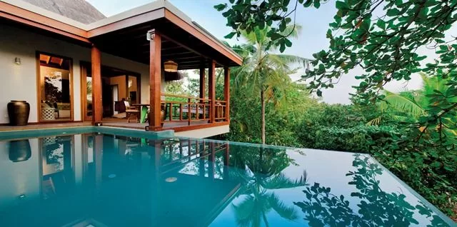 Tree Houses