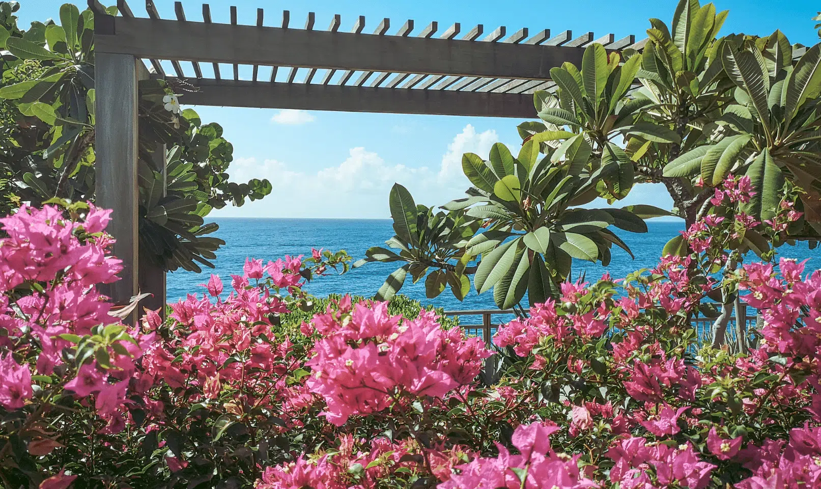 St Barths