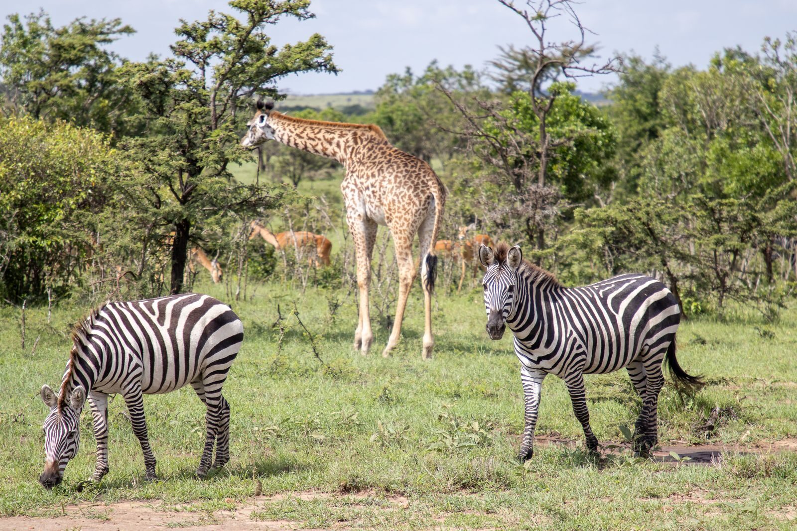 Kenya getting there
