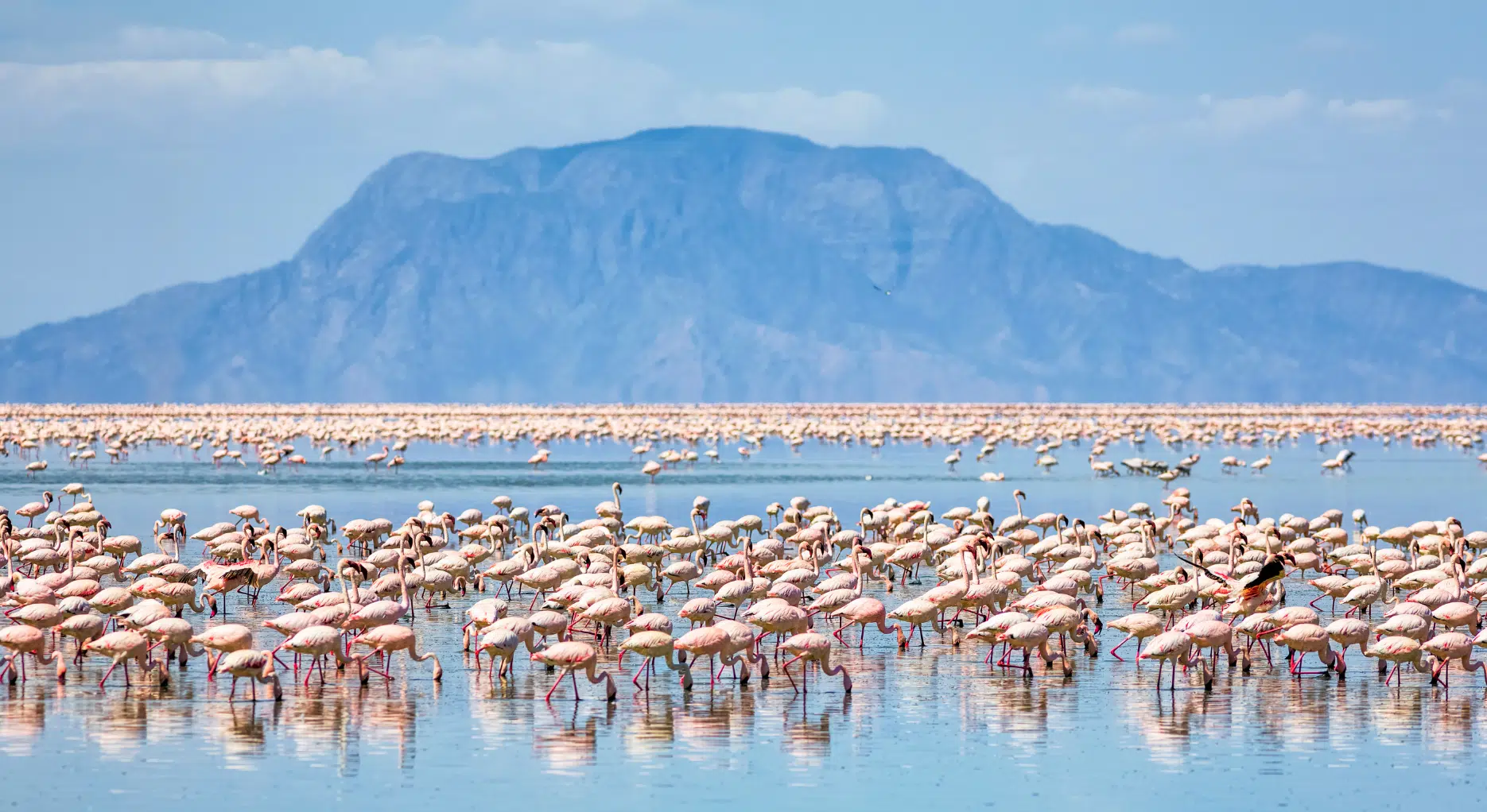 Tanzania