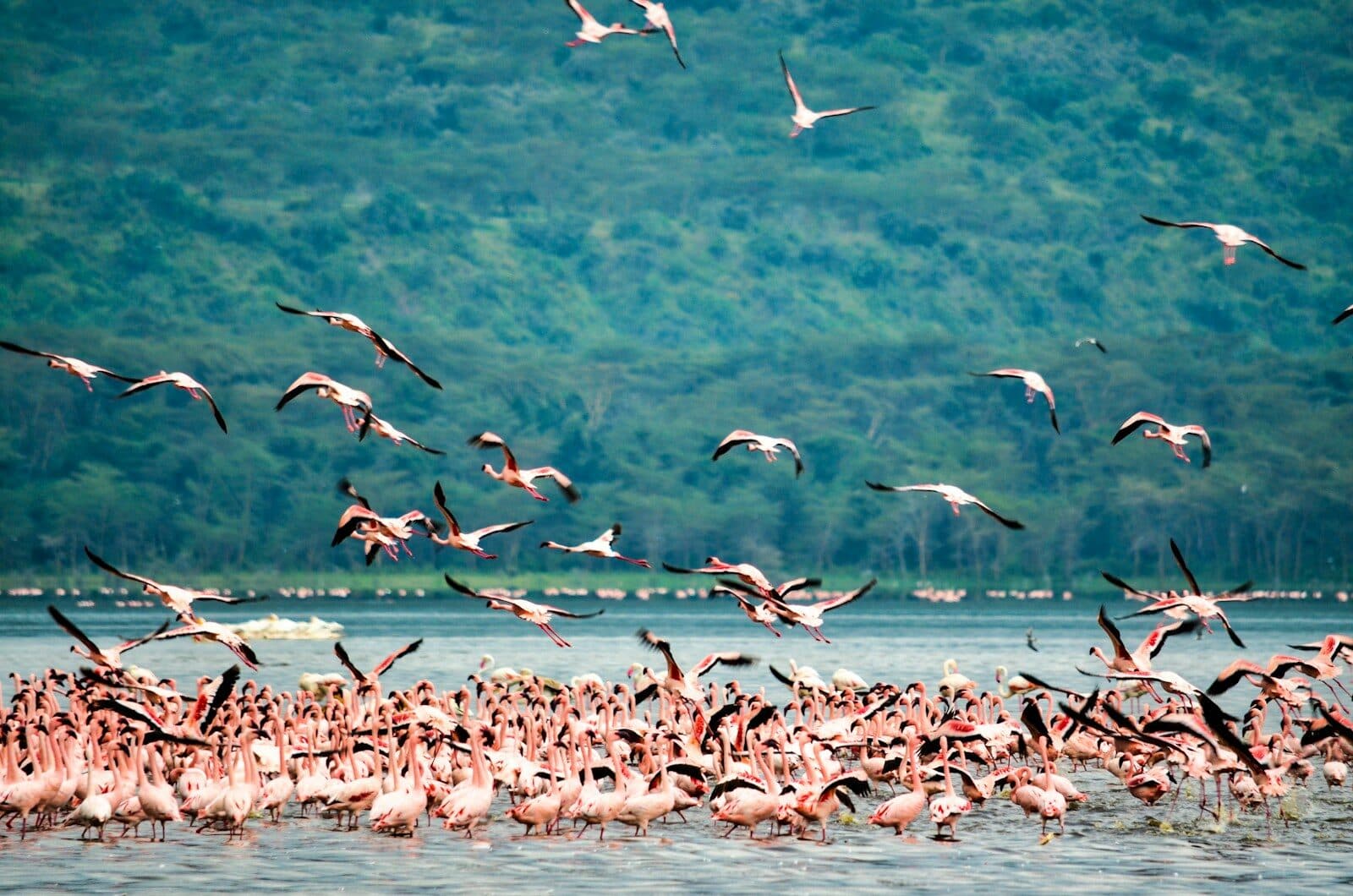 Kenya hidden gems