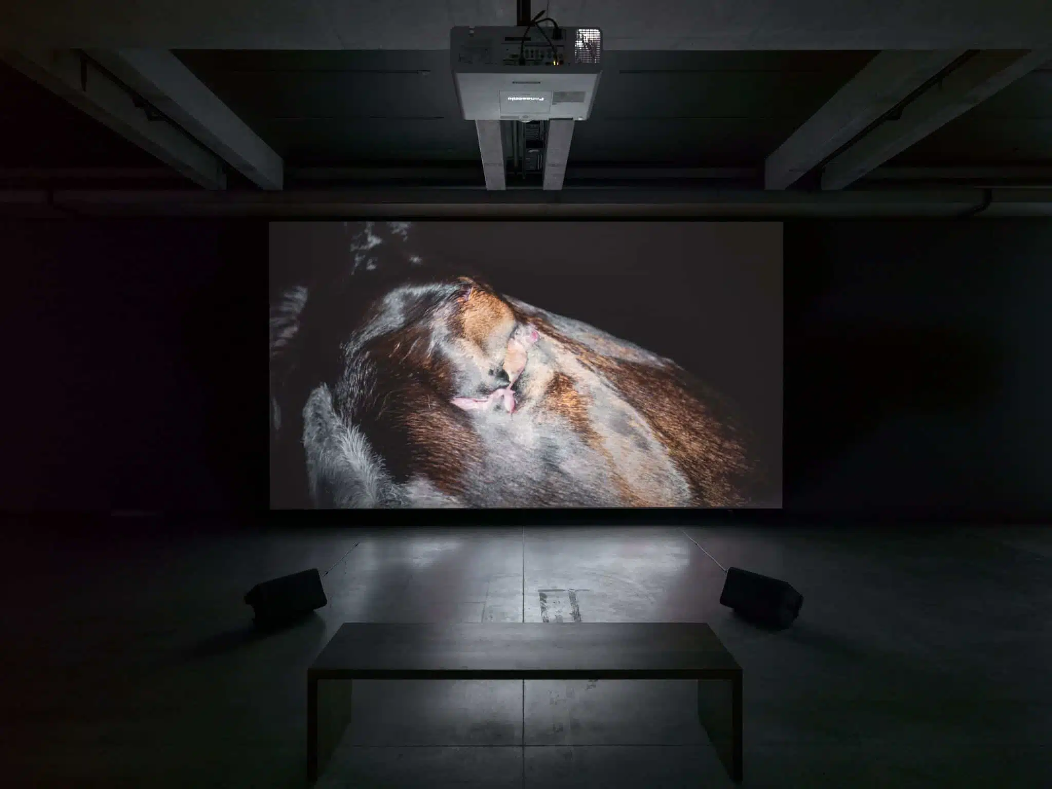 MONA Museum in Australia