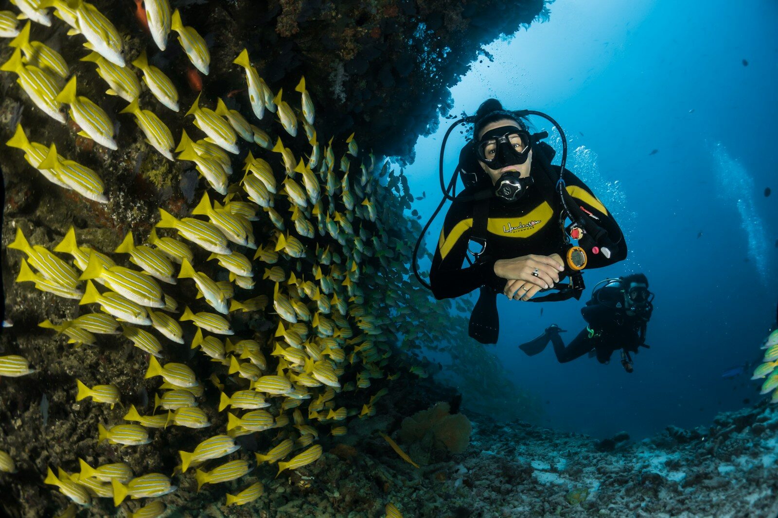 Diving the Watamu Marine National Park Reef