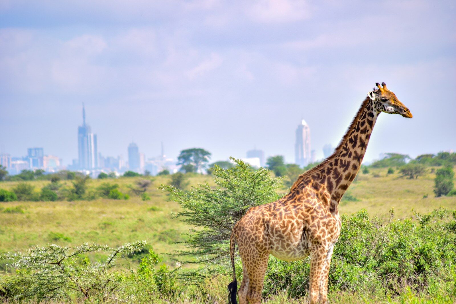 Day 1: Arrival in Nairobi
