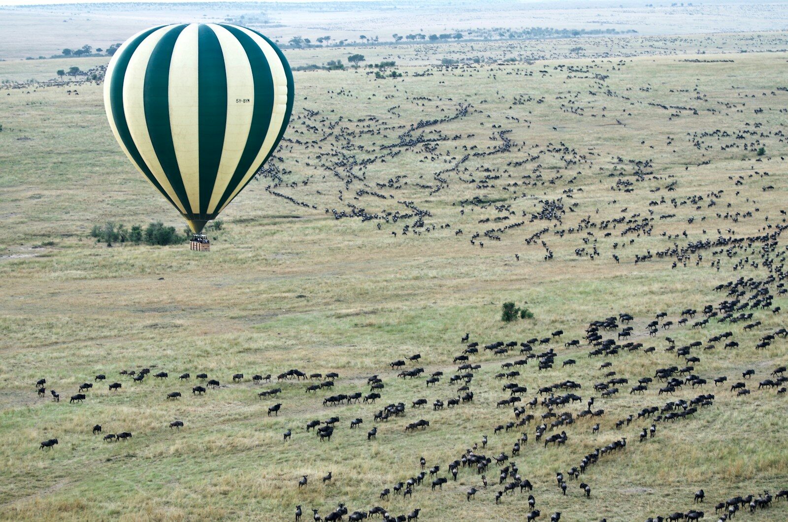 Days 6-10: The Masai Mara