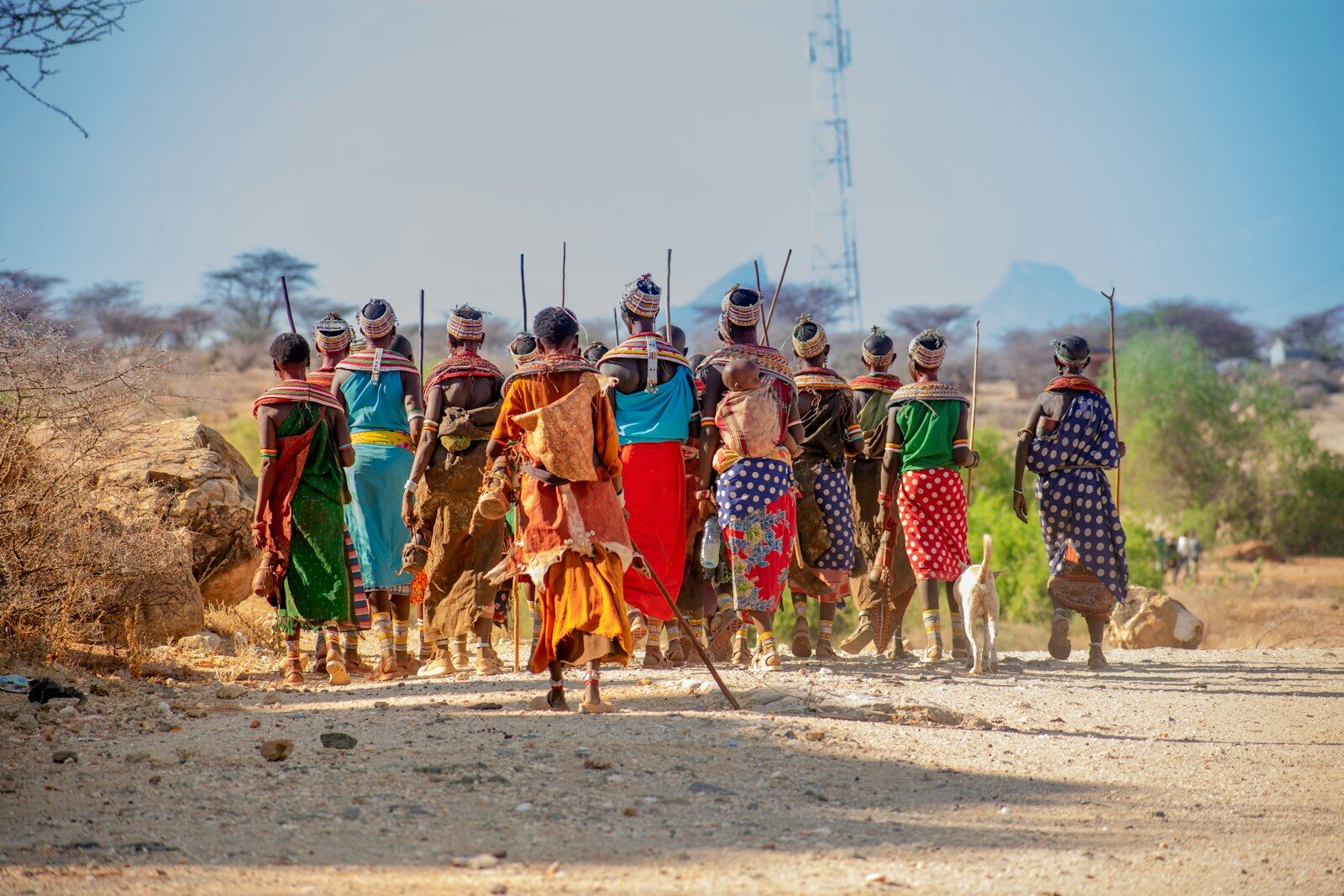Camel Safari Through Samburu with a Samburu Guide