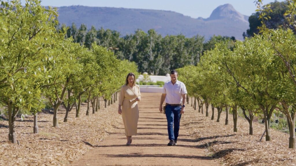Babylonstoren