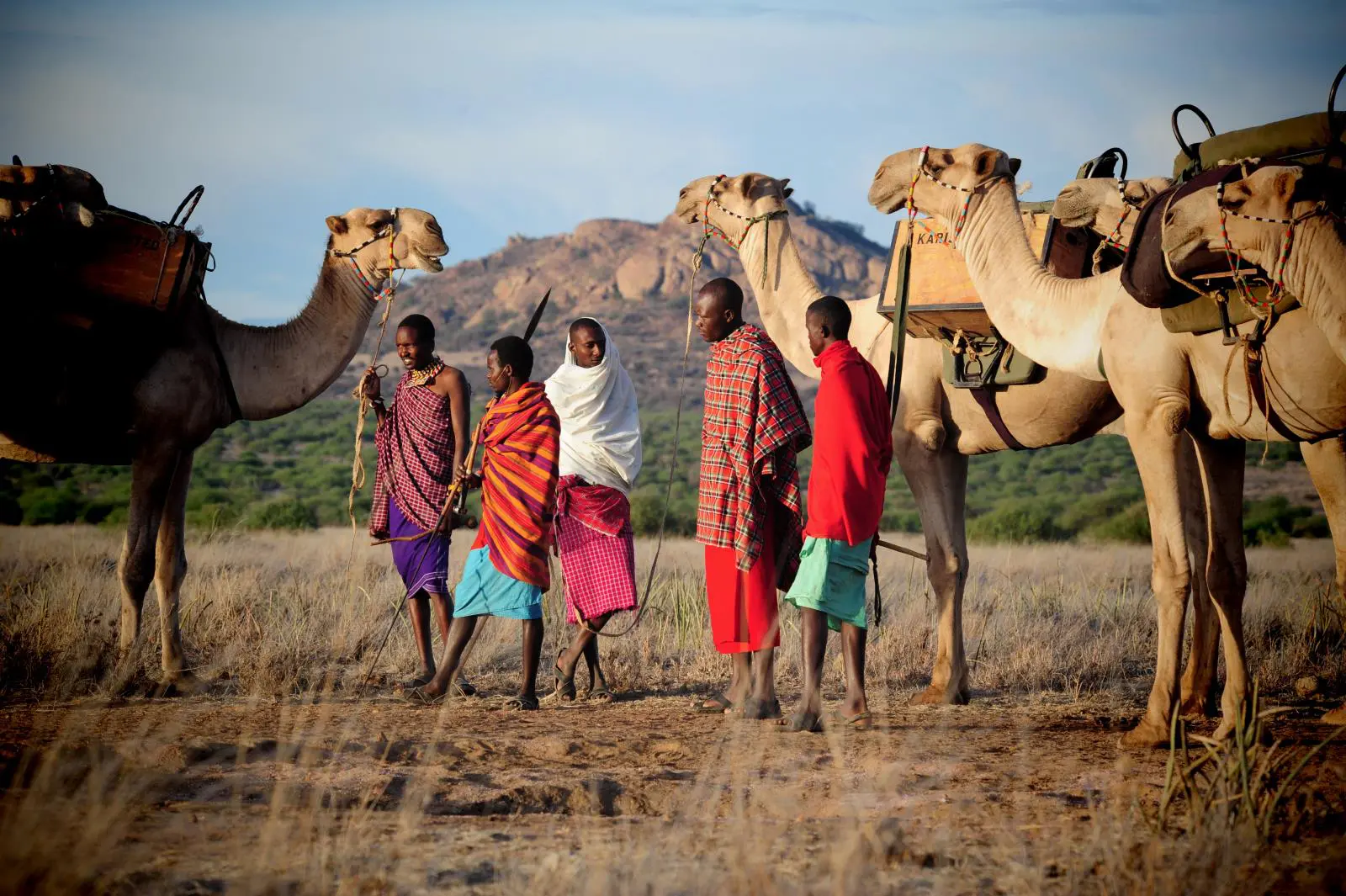 Camel Safari Through Samburu with a Samburu Guide