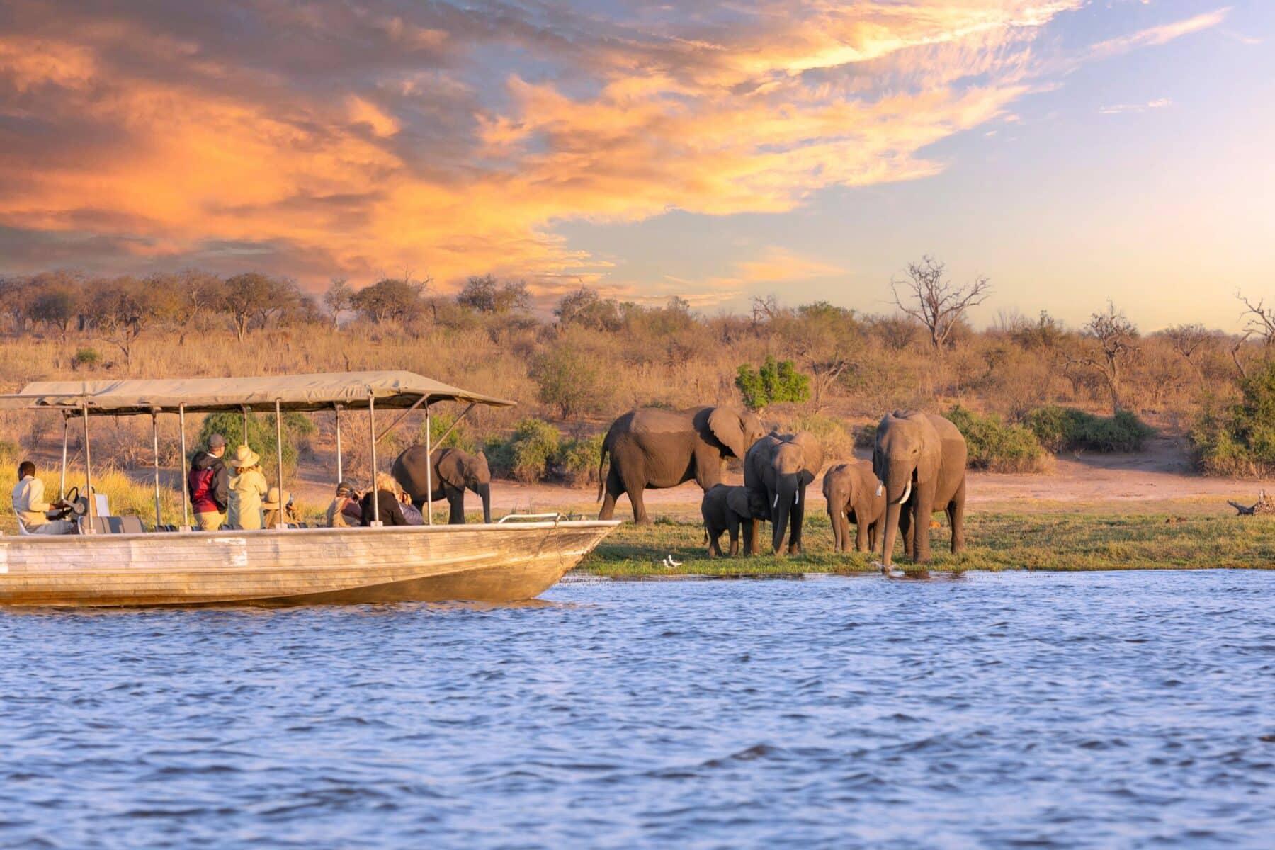 Days 5-6: Chobe National Park, Botswana