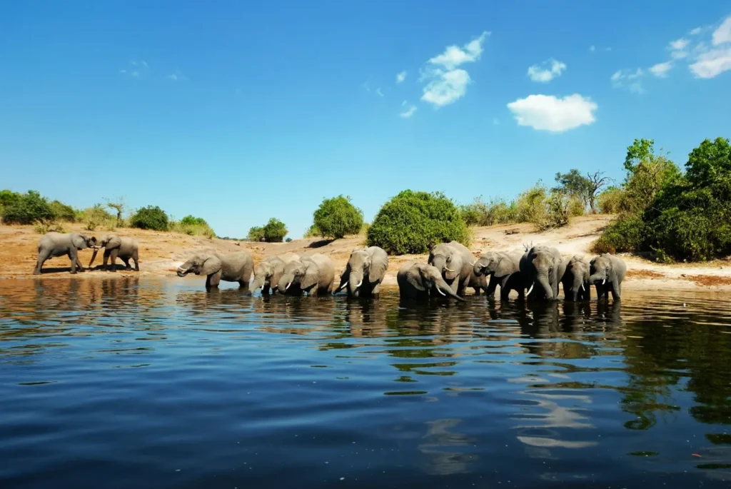 Chobe National Park