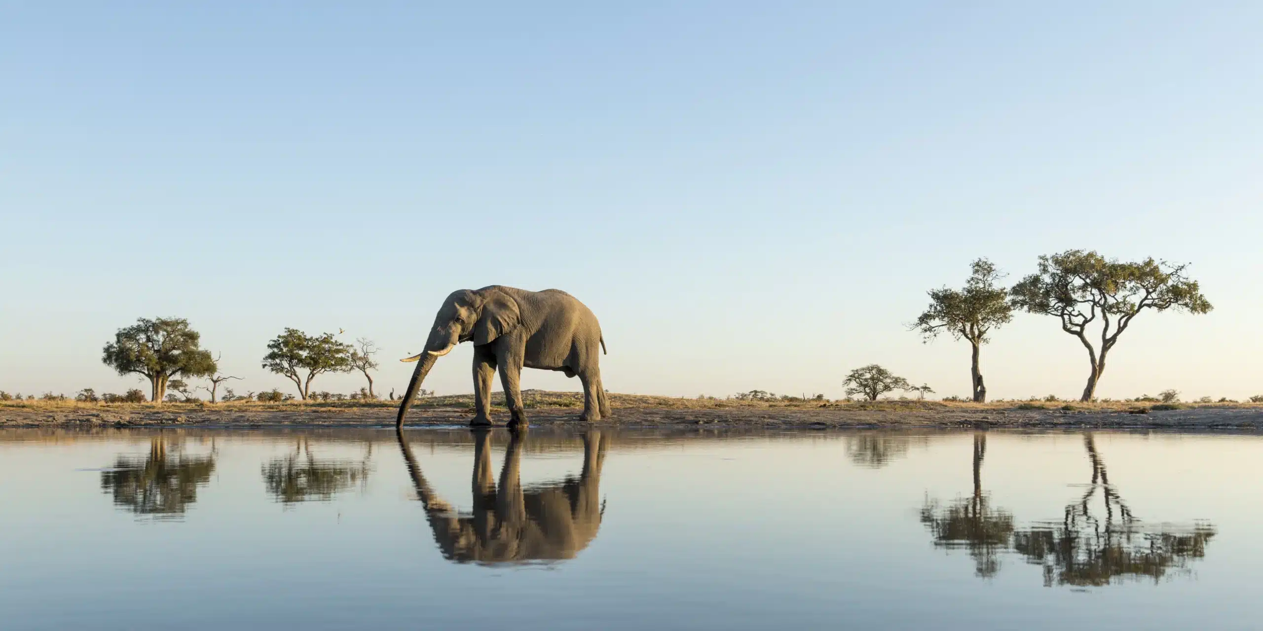Why South Africa & Botswana Safari Adventure