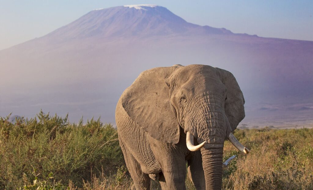 Chyulu Hills