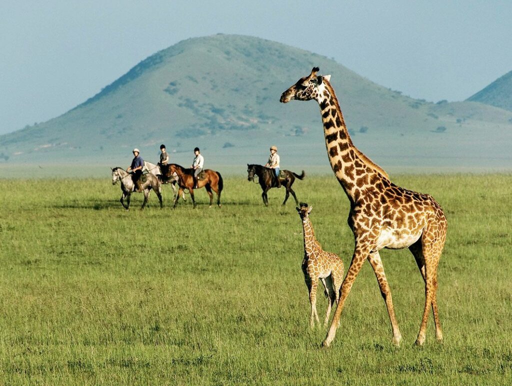 Kenya in Complete Privacy: Laikipia, Chyulu Hills and Lamu