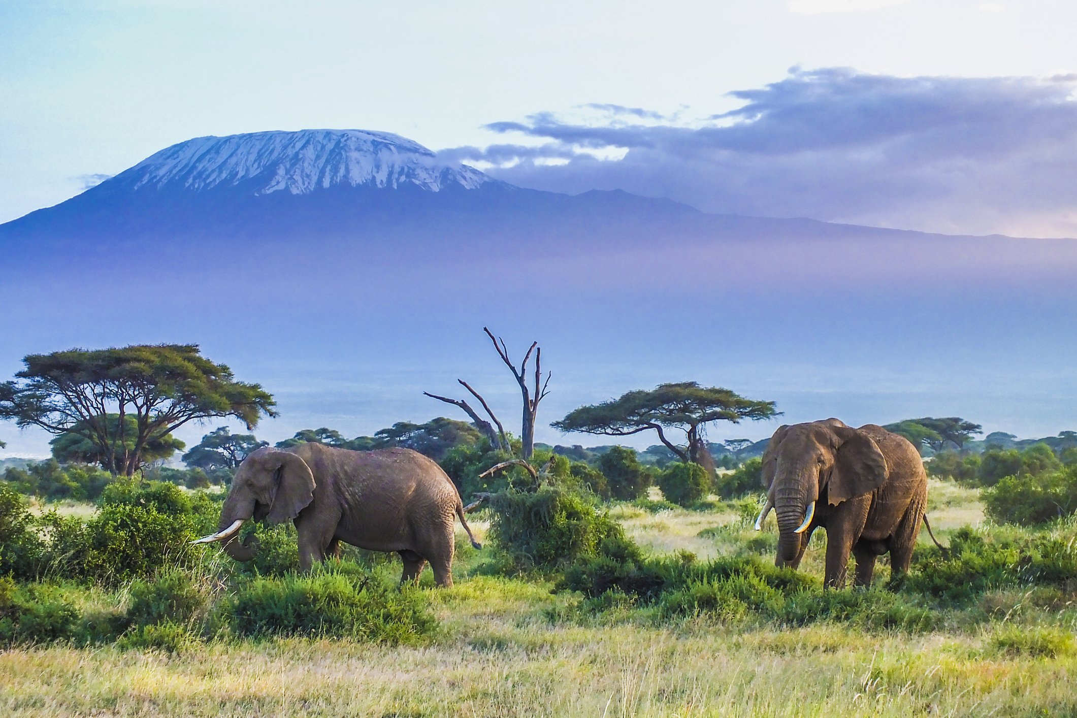 Days 5-6: Chyulu Hills