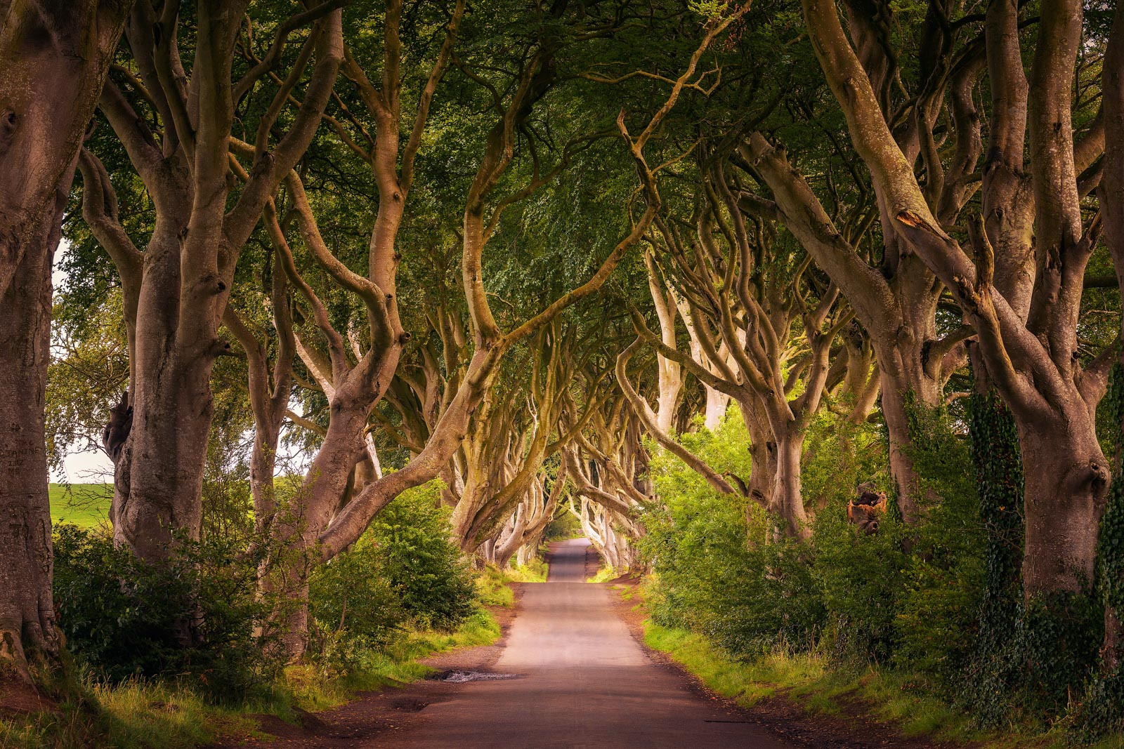 Why Game of Thrones Filming Locations Tour: Iceland and Ireland