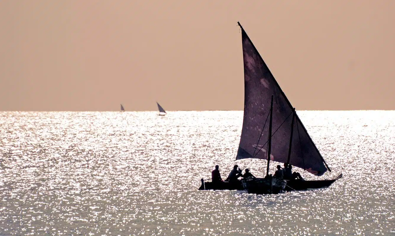 Serengeti to Shore: Honeymoons in Tanzania and Zanzibar