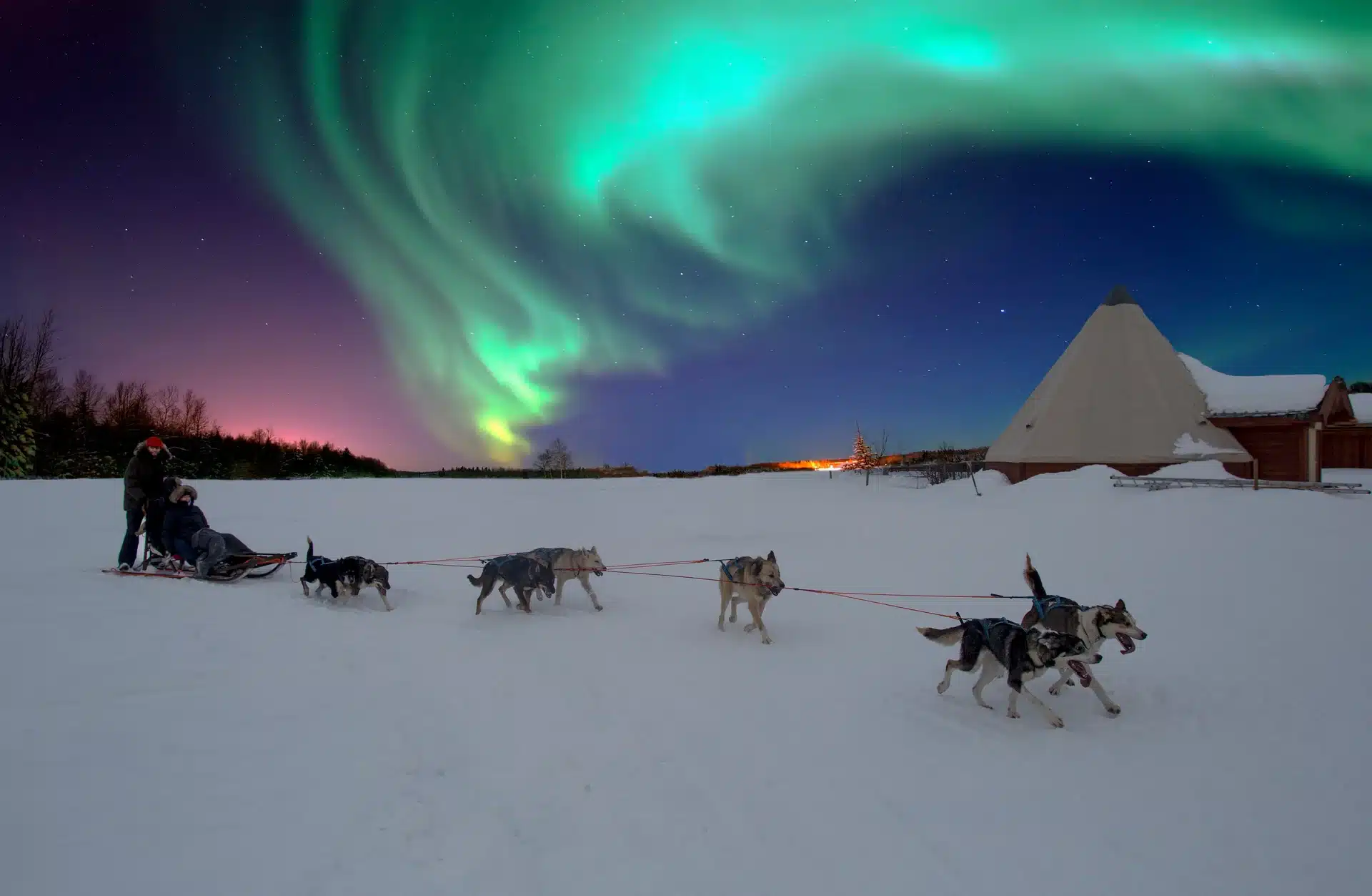 Dog Sledding in Finnmark, Norway