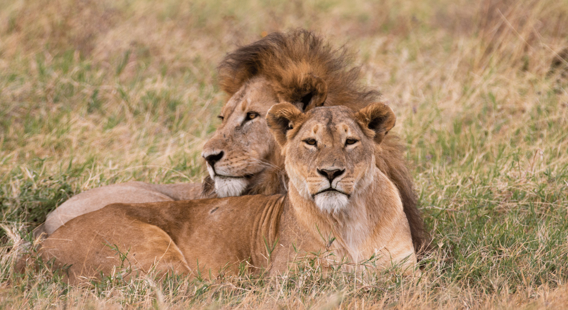 Tanzania