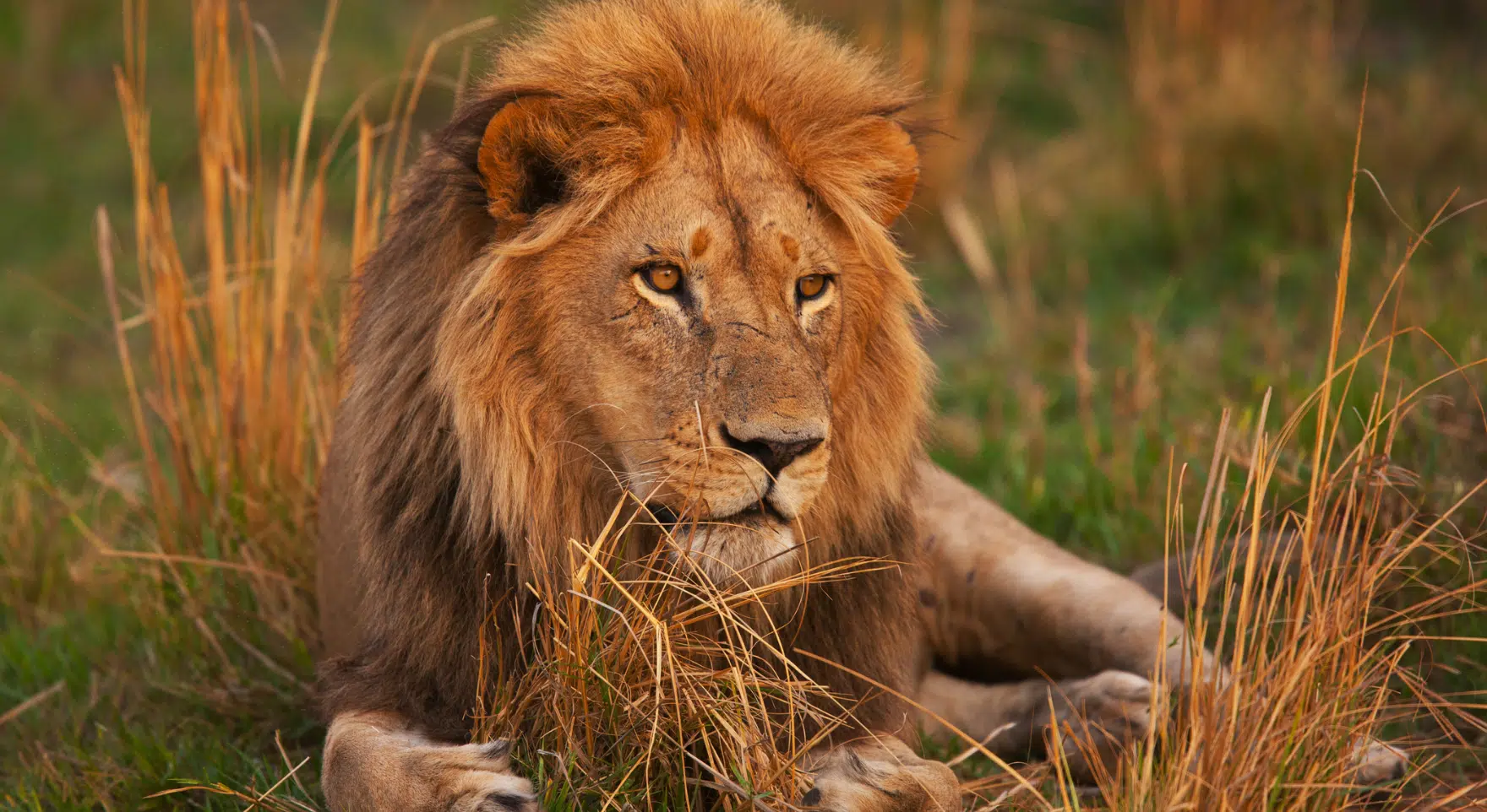 Botswana
