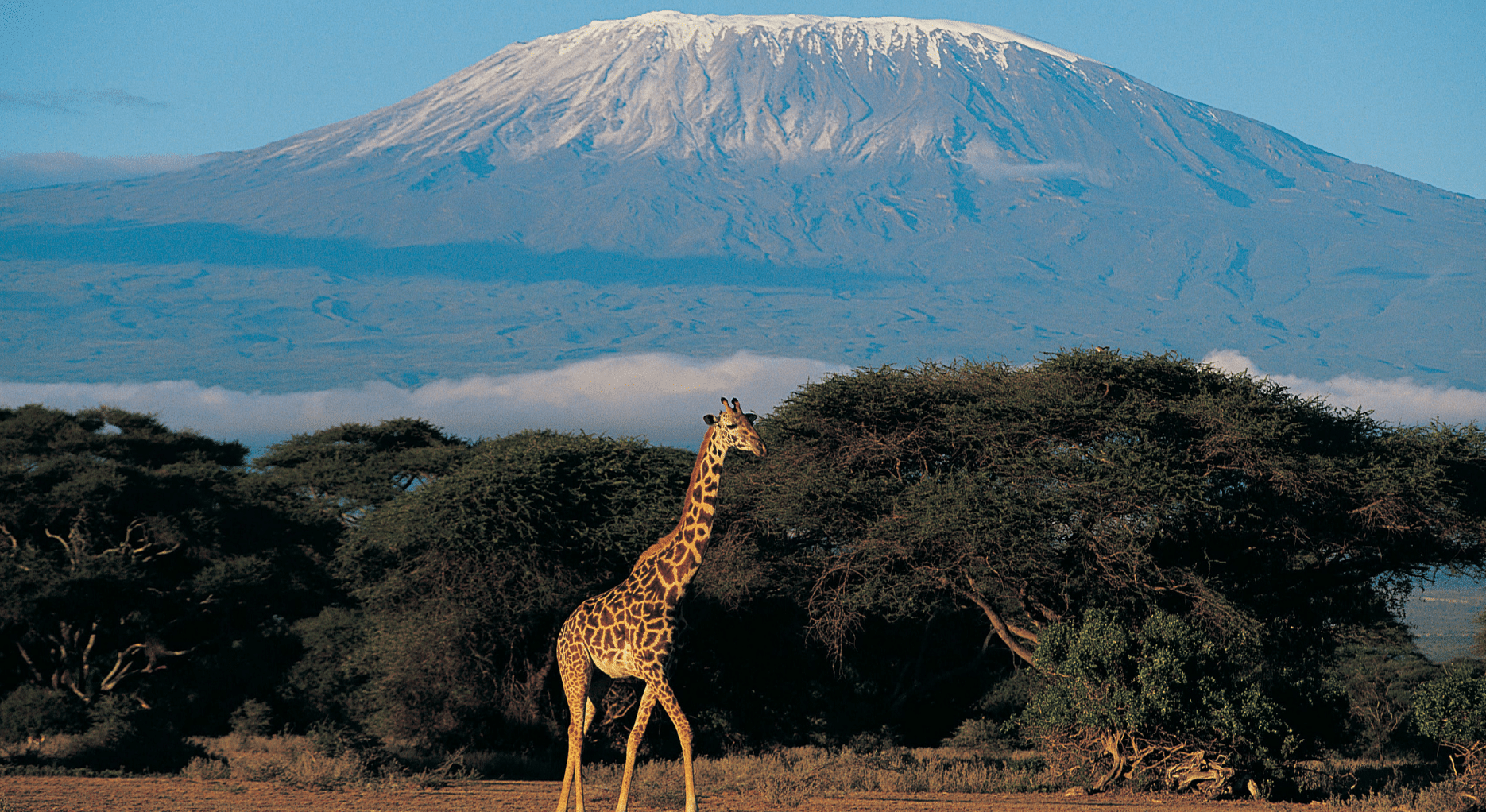 Why Kenya